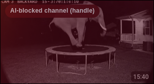 AI Block for YouTube screenshot